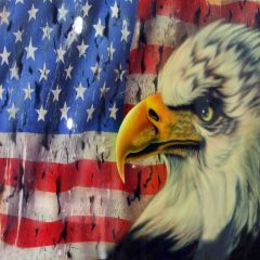 American Flag And Eagle Photography Scenery Backdrop Flag Theme Banner AKA-006
