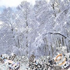 Snow Covered Woods Diamonds Photography Scenery Backdrop Snow Theme Banner AKA-055