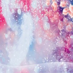 Beautiful Tree And Feather Photography Scenery Backdrop Starlight Shine Theme Banner AKA-056