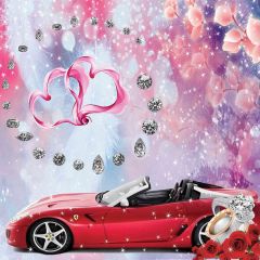 Pink Fancy Date Photography Scenery Backdrop Love Theme Banner AKA-057