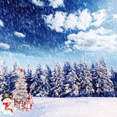 Heavy Snow Covered Pines Photography Scenery Backdrop Christmas Theme Banner AKA-065