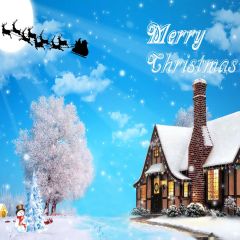 Merry Christmas Photography Scenery Backdrop Christmas Theme Banner AKA-067