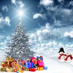 White Christmas Photography Scenery Backdrop Christmas Theme Banner AKA-069