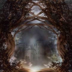 Spooky Castle Photography Scenery Backdrop Fantasy Theme Banner AKA-089