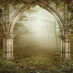 Foggy Backyard Photography Scenery Backdrop Arches or Pillars Theme Banner AKA-092