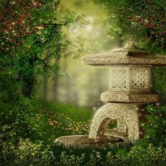 Stone Light In Woods Photography Scenery Backdrop Nature Theme Banner AKA-094