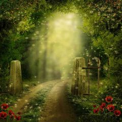 Way To The Woods Photography Scenery Backdrop Nature Theme Banner AKA-095