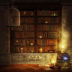 Kiny Shelf Photography Scenery Backdrop Bookshelf Theme Banner AKA-096