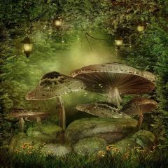 Giant Mushrooms Photography Scenery Backdrop Fantasy Theme Banner AKA-098