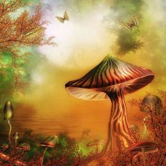 Giant Mushrooms Photography Scenery Backdrop Fantasy Theme Banner AKA-100