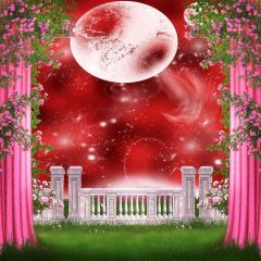 Giant Red Moon Photography Scenery Backdrop Balcony Landscape Theme Banner AKA-105