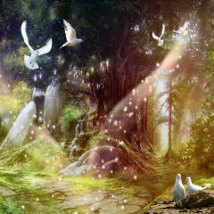 Sunshine Tree House Pigeons Photography Scenery Backdrop Forest Theme Banner AKA-108