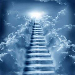 Long Stairs To The Sky Photography Scenery Backdrop Fantasy Theme Banner AKA-116