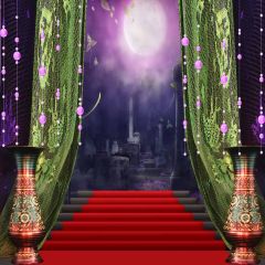 Behind The Green Curtain Photography Scenery Backdrop Stage Carpet Theme Banner AKA-119