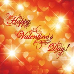 Happy Valentine's Day Photography Scenery Backdrop Love Theme Banner AKA-122