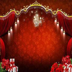 Space For Love Photography Scenery Backdrop Stage Carpet Theme Banner AKA-164