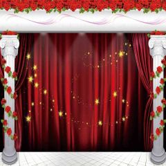 Ready To Be Shown Photography Scenery Backdrop Stage Carpet Theme Banner AKA-177
