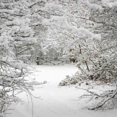 Snow World Photography Scenery Backdrop Snow Theme Banner AKA-178