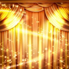Golden Curtain Photography Scenery Backdrop Stage Carpet Theme Banner AKA-183