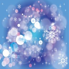 Bright Light Spot Snowflakes Photography Scenery Backdrop Starlight Shine Theme Banner AKA-192