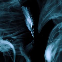 Feathers Smoke Floc Photography Scenery Backdrop Abstract Art Theme Banner AKA-197