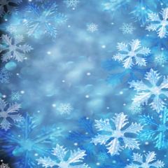 Edelweiss Photography Scenery Backdrop Snow Theme Banner AKA-206