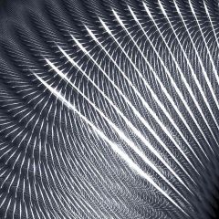 Scratches Photography Scenery Backdrop Textures Theme Banner AKA-223