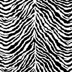 Zebra Photography Scenery Backdrop Textures Theme Banner AKA-250