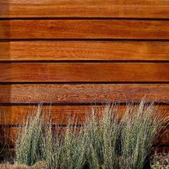 Growing Under The Fence Photography Scenery Backdrop Textures Theme Banner AKA-259