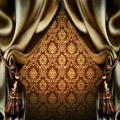 Royal Pattern Behind Photography Scenery Backdrop Textures Theme Banner AKA-262