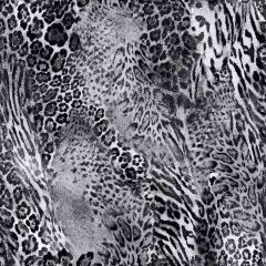 Leopard Photography Scenery Backdrop Textures Theme Banner AKA-267