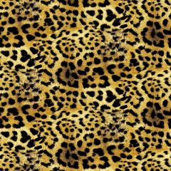 Leopard Photography Scenery Backdrop Textures Theme Banner AKA-269