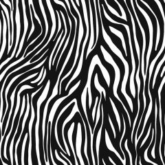 Zebra Photography Scenery Backdrop Textures Theme Banner AKA-270