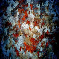 Peeling Off Photography Scenery Backdrop Textures Theme Banner AKA-277