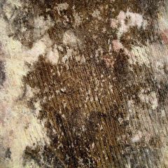 Peeling Off Photography Scenery Backdrop Textures Theme Banner AKA-279