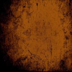 Pied Wall Photography Scenery Backdrop Textures Theme Banner AKA-280