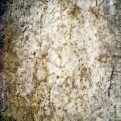 Pied Wall Photography Scenery Backdrop Textures Theme Banner AKA-281