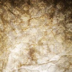 Pied Wall Photography Scenery Backdrop Textures Theme Banner AKA-284