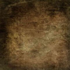 Pied Wall Photography Scenery Backdrop Textures Theme Banner AKA-305