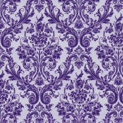 The Wings Photography Scenery Backdrop Textures Theme Banner AKA-310