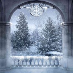 Winter Photography Scenery Backdrop Snow Theme Banner AKA-322