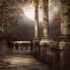 In Dream Photography Scenery Backdrop Arches or Pillars Theme Banner AKA-323
