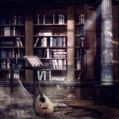 Old Bookcase Photography Scenery Backdrop Bookshelf Theme Banner AKA-333