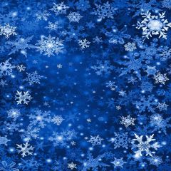 Edelweiss Photography Scenery Backdrop Textures Theme Banner AKA-336