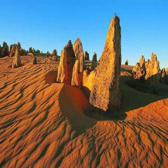 In The Desert Photography Scenery Backdrop Nature Theme Banner AKA-340