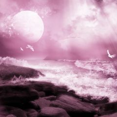 Waves Reef Seagulls Photography Scenery Backdrop Ocean Theme Banner AKA-349