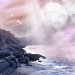 Waves Reef Seagulls Photography Scenery Backdrop Ocean Theme Banner AKA-350