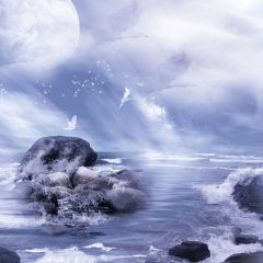 Waves Reef Seagulls Photography Scenery Backdrop Ocean Theme Banner AKA-351