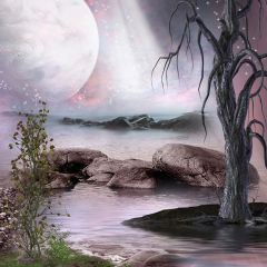 Lake Water Dried Tree Photography Scenery Backdrop Nature Theme Banner AKA-353