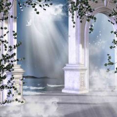 Arch Under The Moonlight Photography Scenery Backdrop Arches or Pillars Theme Banner AKA-355